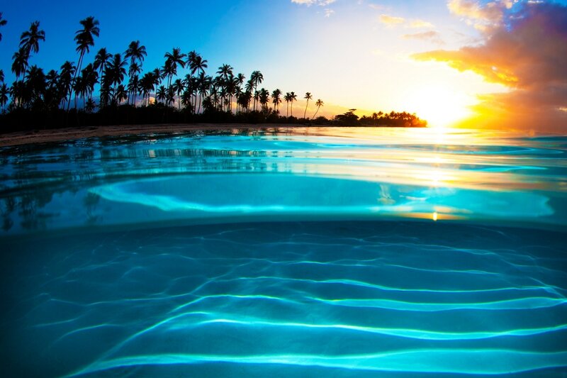 Tropical Beach at Sunset — Blue, Serene, Photograph, Palm Trees, Ocean, Sky