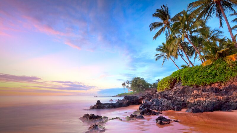 Tropical Beach at Sunset — Blue, Serene, Photograph, Palm Trees, Rocks, Ocean