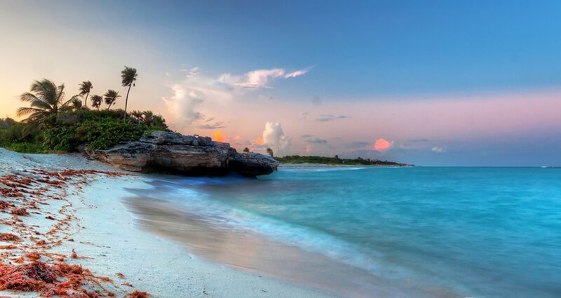 Tropical Beach at Sunset — Blue, Serene, Photograph, Palm Trees, Rocks, Seaweed