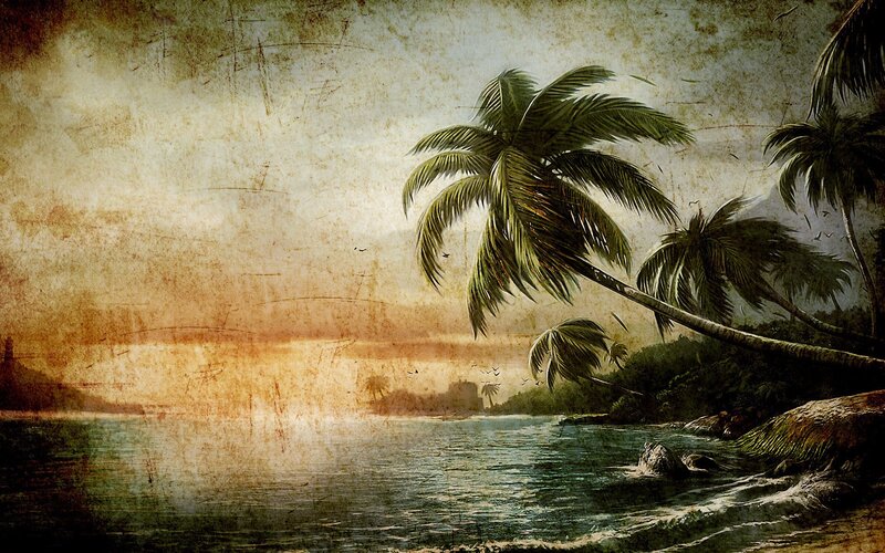 Tropical Beach at Sunset — Brown