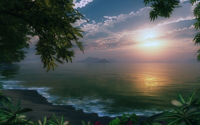 Tropical Beach at Sunset — Green