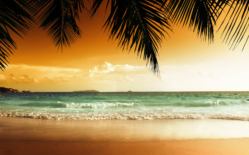 Tropical Beach at Sunset — Orange, Serene, Photograph, Palm Fronds, Ocean