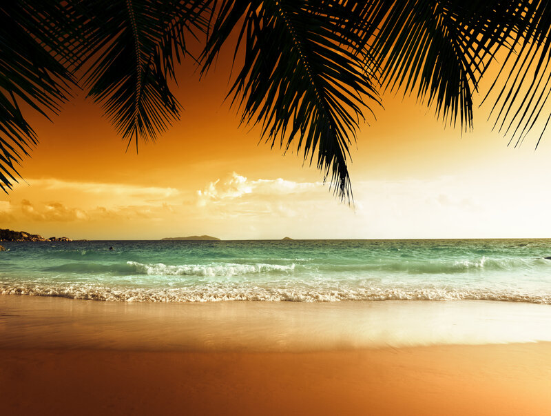 Tropical Beach at Sunset — Orange, Serene, Photograph, Palm Fronds