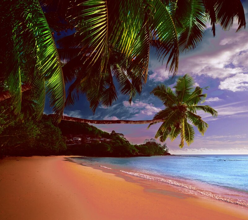 Tropical Beach at Sunset — Orange, Serene, Photograph, Palm Trees, Ocean