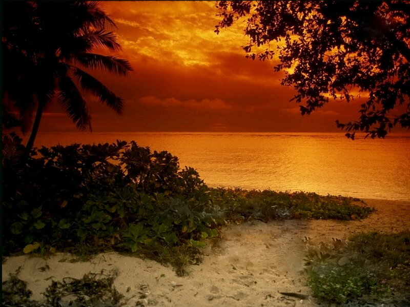Tropical Beach at Sunset — Orange, Serene, Photograph