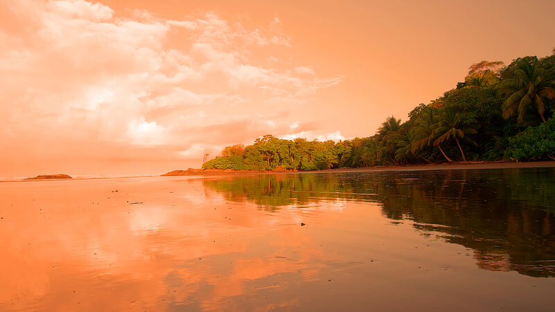 Tropical Beach at Sunset — Orange, Serene, Photograph, Trees