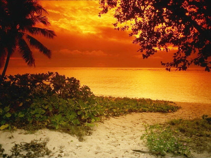 Tropical Beach at Sunset — Orange, Serene