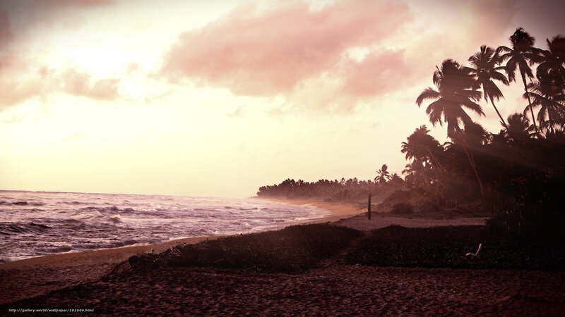 Tropical Beach at Sunset — Pink