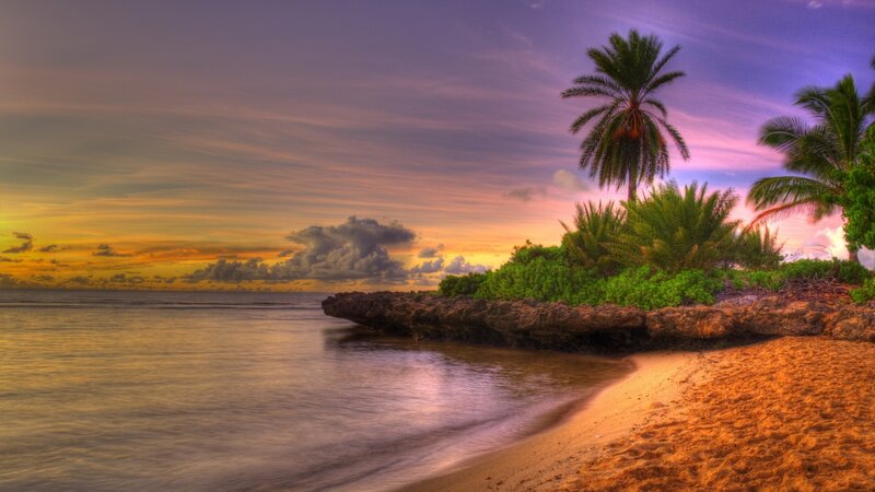Tropical Beach at Sunset — Purple, Serene, Photograph, Palm Trees, Ocean