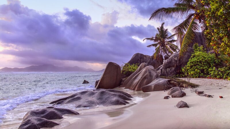 Tropical Beach at Sunset — Purple, Serene, Photograph, Palm Trees, Rocks