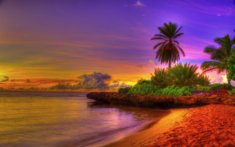 Tropical Beach at Sunset — Purple, Serene, Photograph