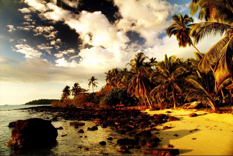Tropical Beach at Sunset — Yellow, Dramatic, Photograph, Palm Trees