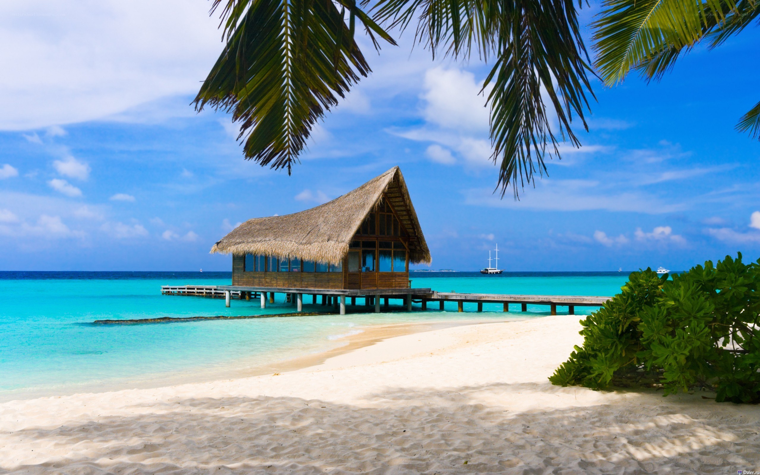 Tropical beach bungalow