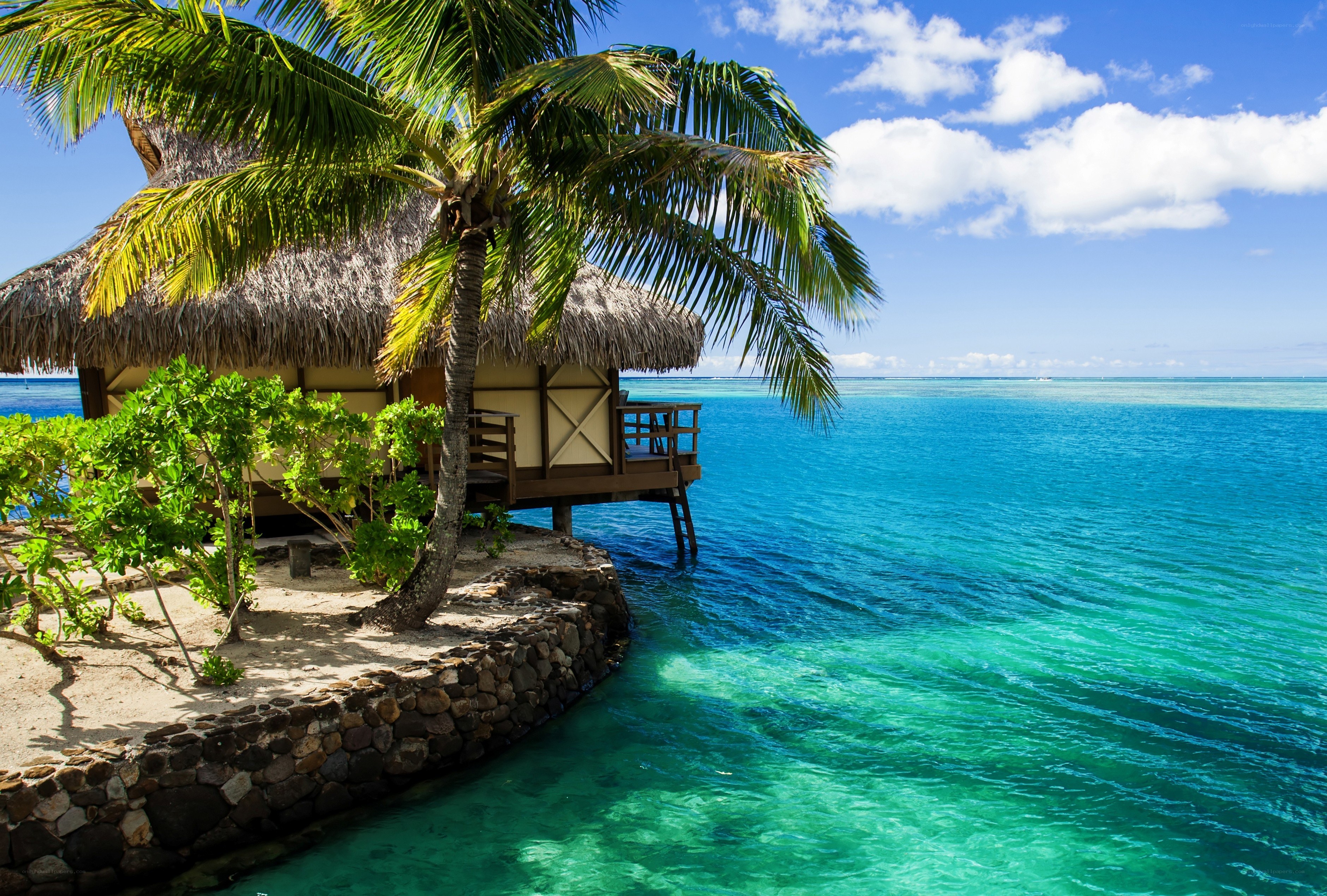 Tropical beach bungalow