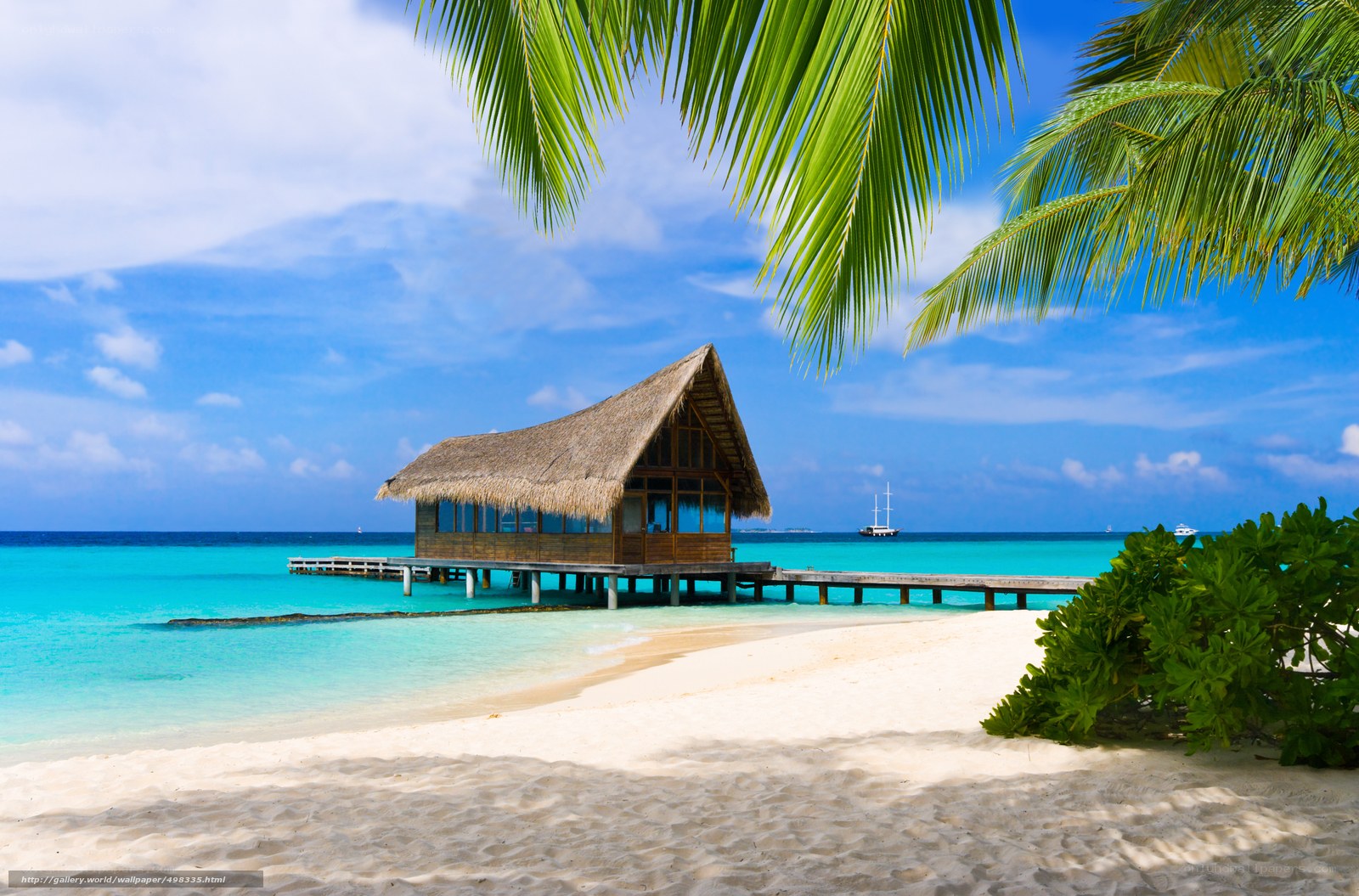 Tropical beach bungalow