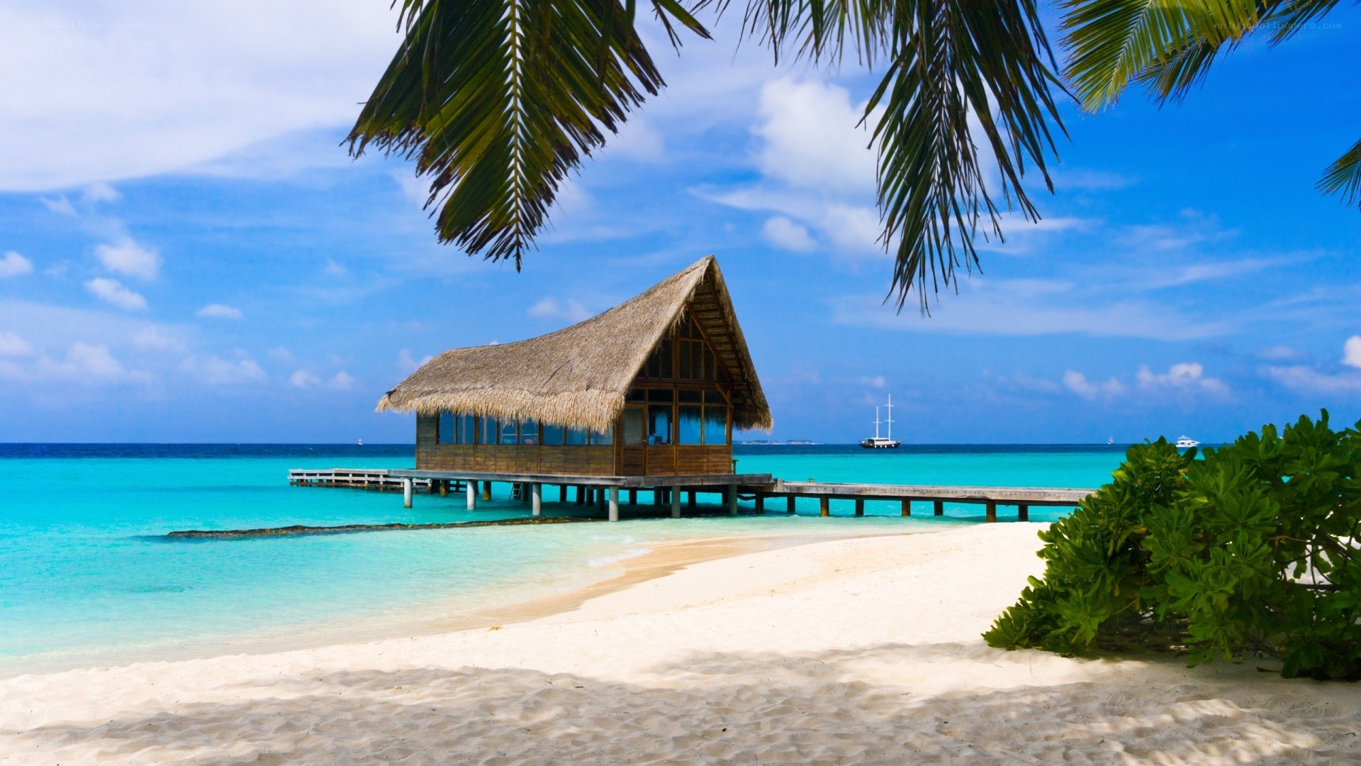 Tropical beach bungalow