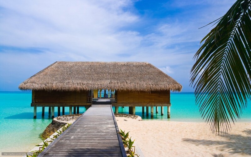 tropical beach bungalow