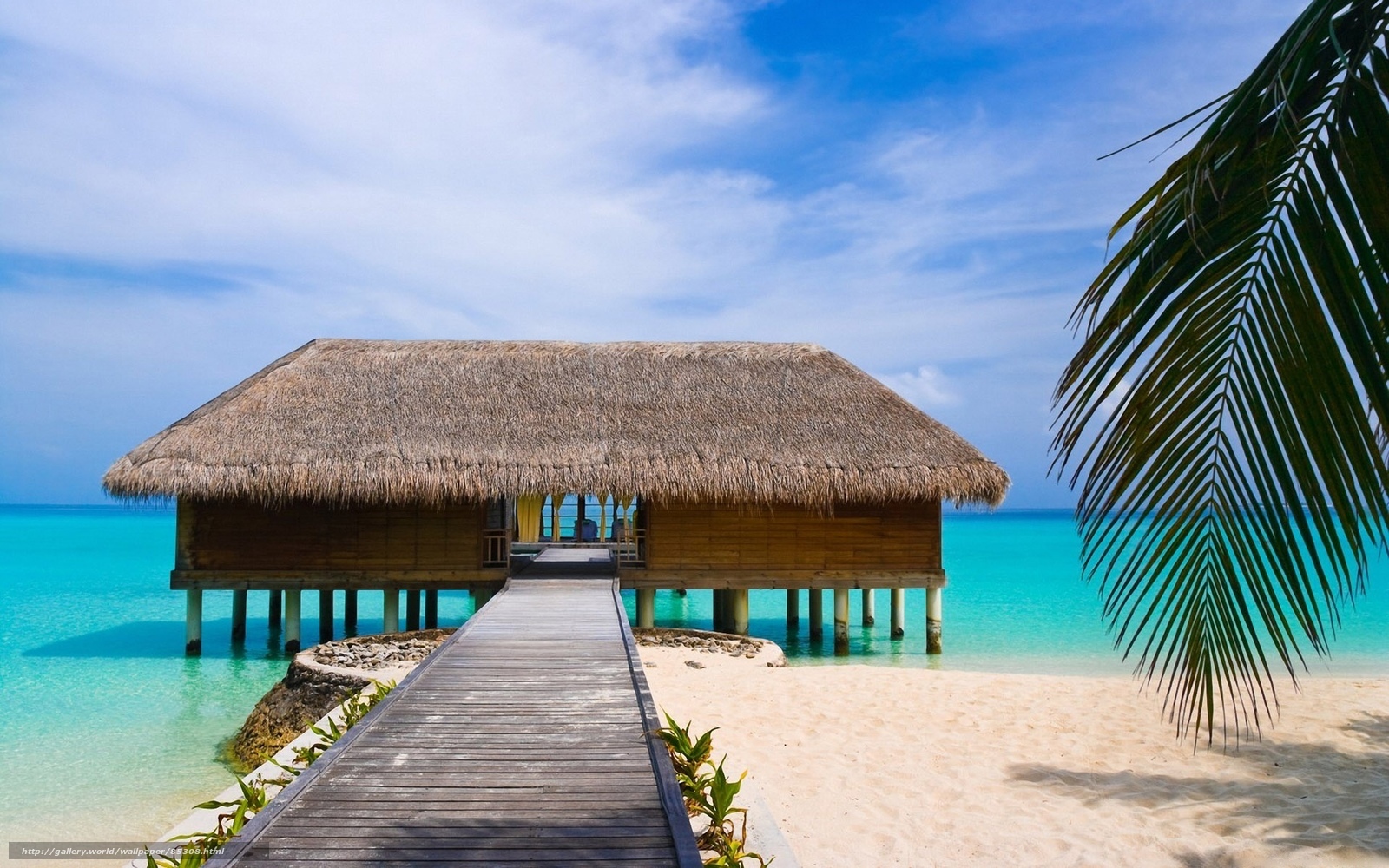 tropical beach bungalow