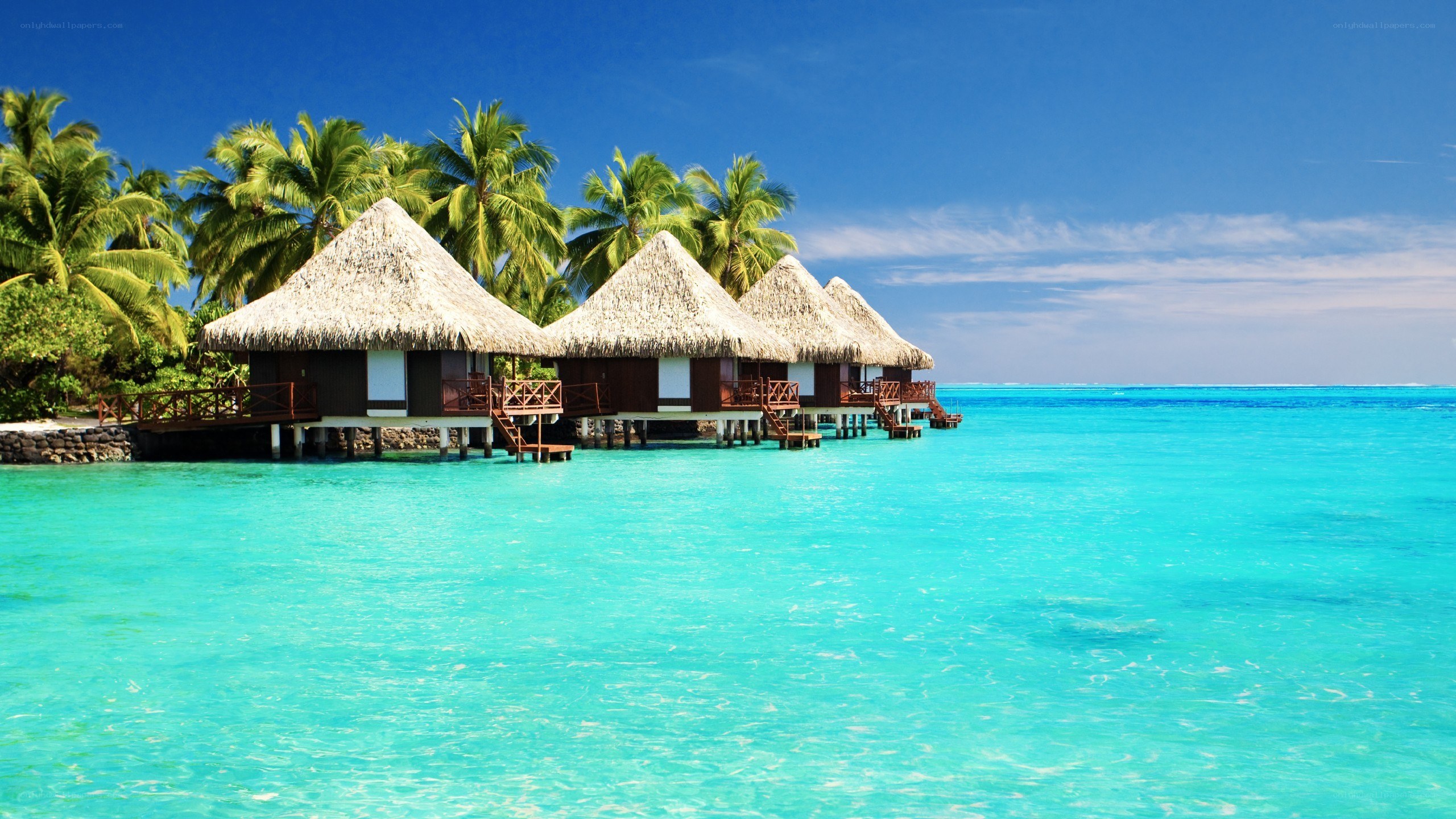 Tropical beach bungalows