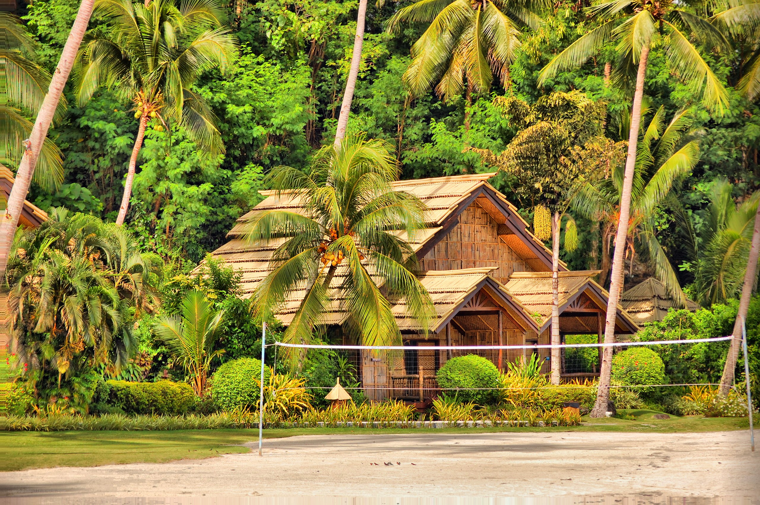 Tropical beach bungalows