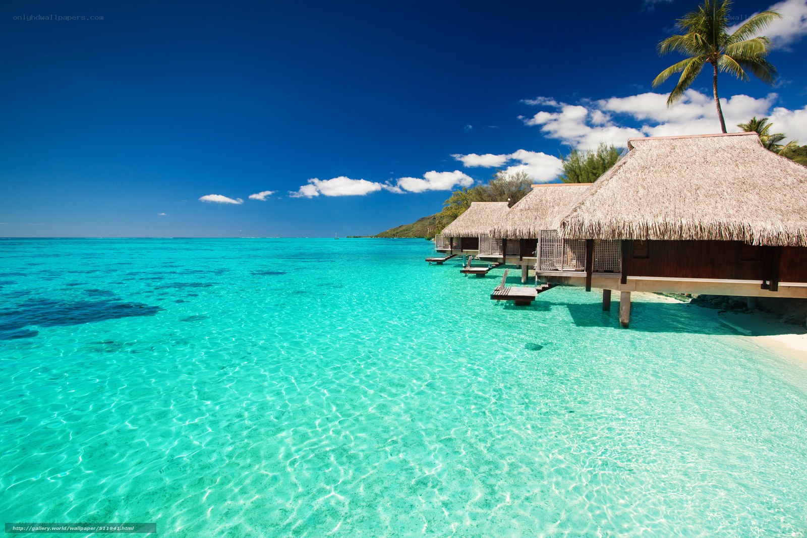 Tropical beach bungalows