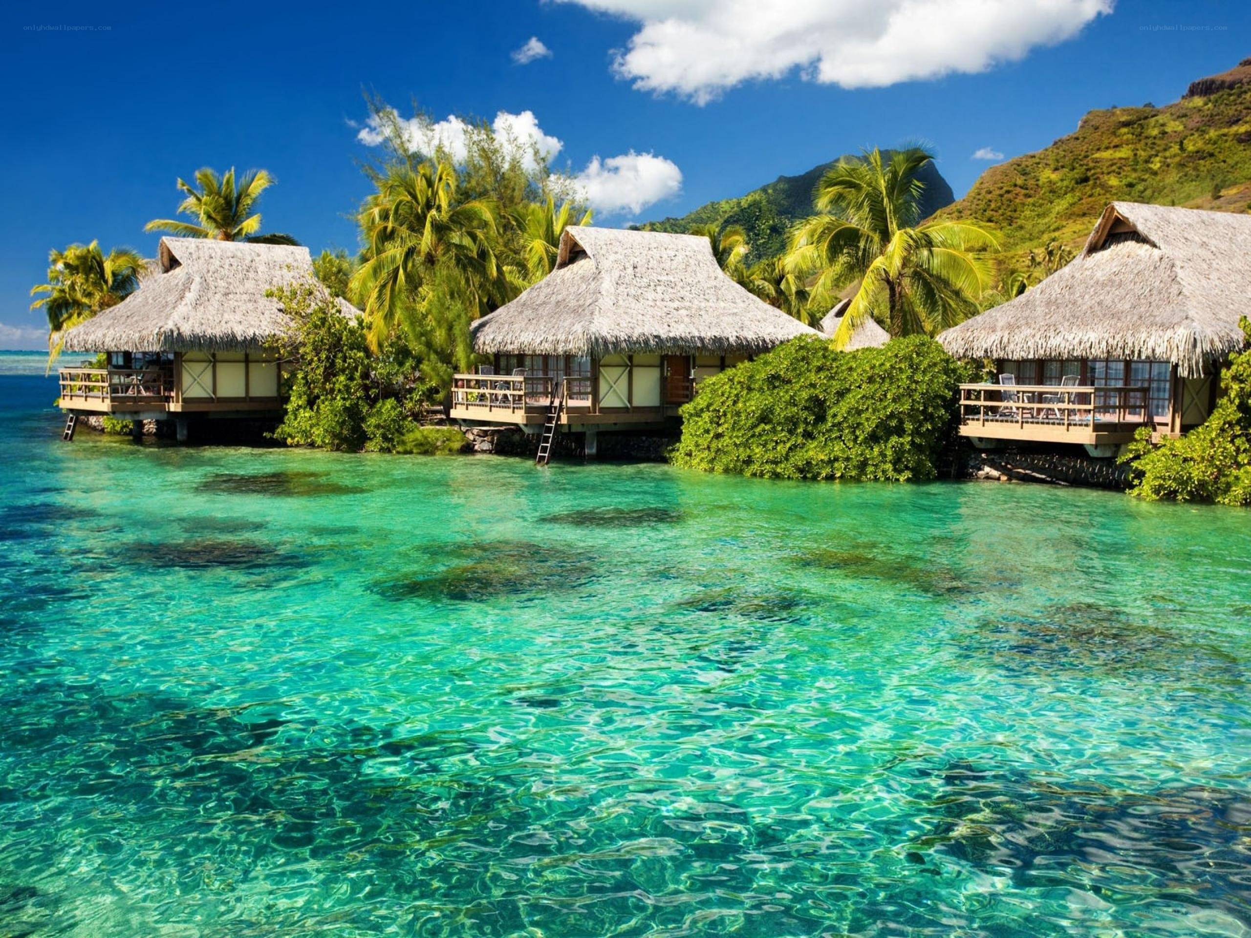 Tropical beach bungalows