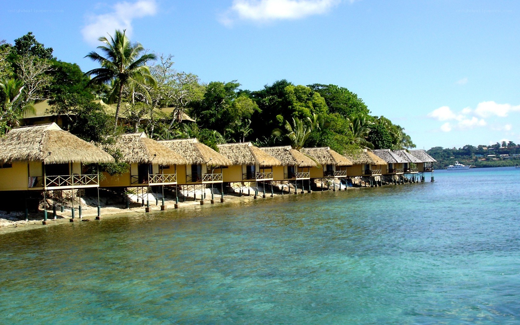 Tropical beach bungalows