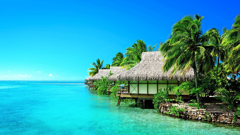 Tropical Beach Bungalows — Blue, Serene, Afternoon, Photograph, Palm Trees