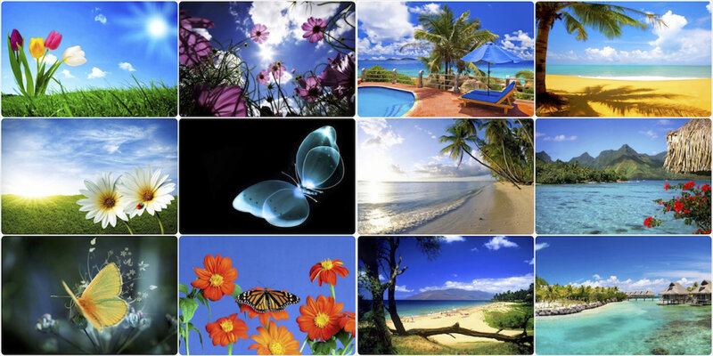 Tropical Beach Collage