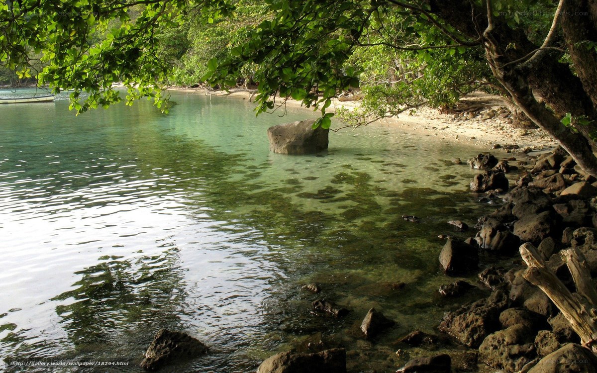 tropical beach cove