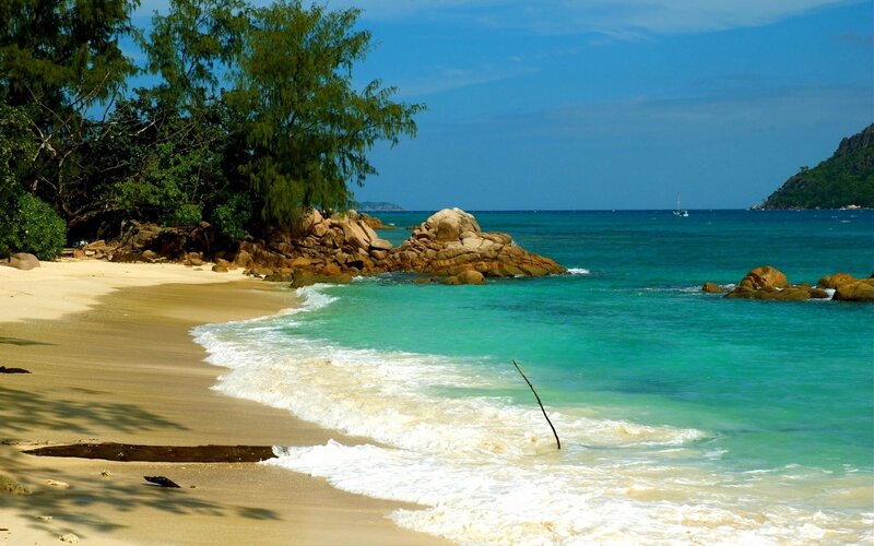 Tropical Beach Cove — Blue, Beige