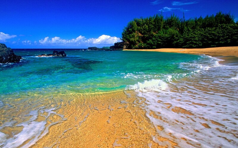 Tropical Beach Cove — Blue, Ocean