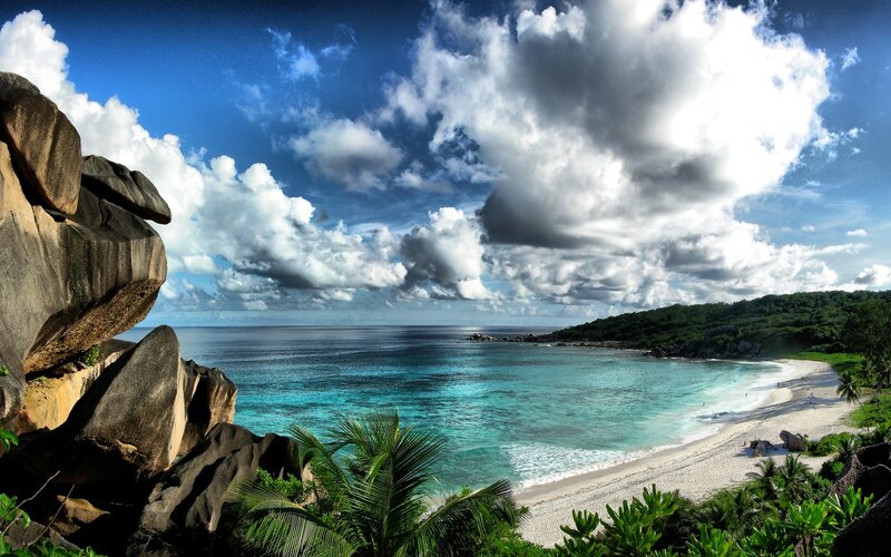 Tropical Beach Cove — Blue, Palm Trees