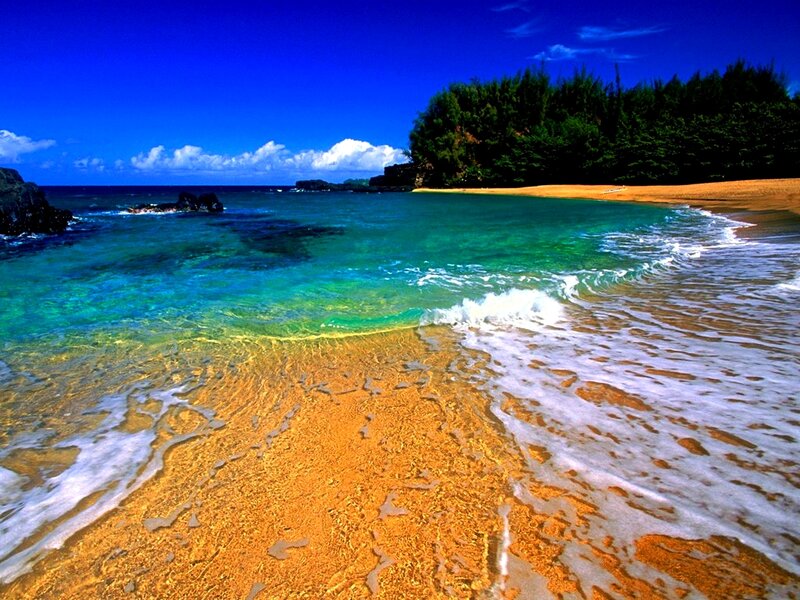 Tropical Beach Cove — Blue, Serene, Afternoon, Photograph, Ocean, Sand, Trees