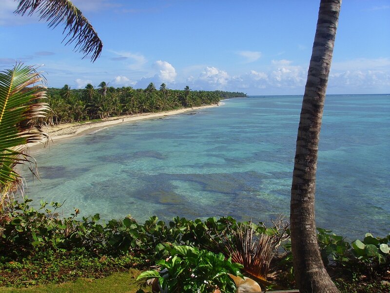 Tropical Beach Cove — Blue, Serene, Afternoon, Photograph, Palm Tree, Ocean