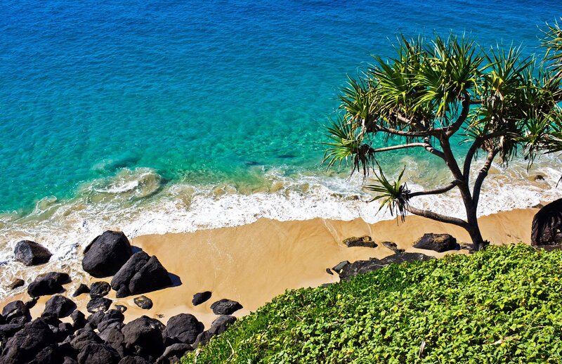 Tropical Beach Cove — Blue, Serene, Afternoon, Photograph, Palm Tree, Rocks