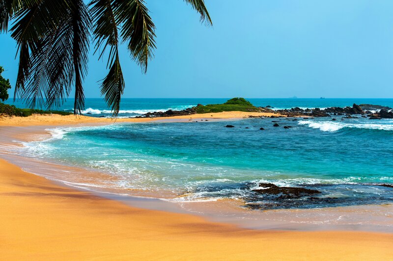 Tropical Beach Cove — Blue, Serene, Afternoon, Photograph, Palm Tree, Sand