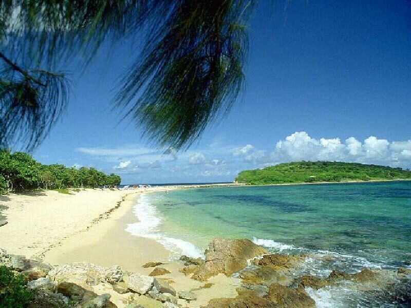 Tropical Beach Cove — Blue, Serene, Afternoon, Photograph, Palm Tree