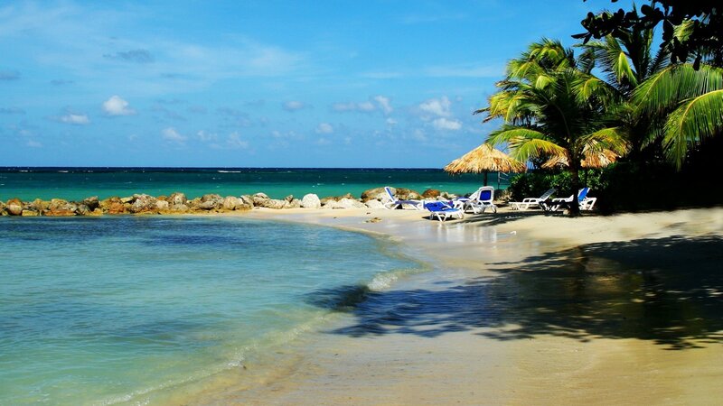 Tropical Beach Cove — Blue, Serene, Afternoon, Photograph, Palm Trees, Lounge Chairs