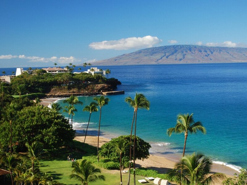 Tropical Beach Cove — Blue, Serene, Afternoon, Photograph, Palm Trees, Ocean, Mountain