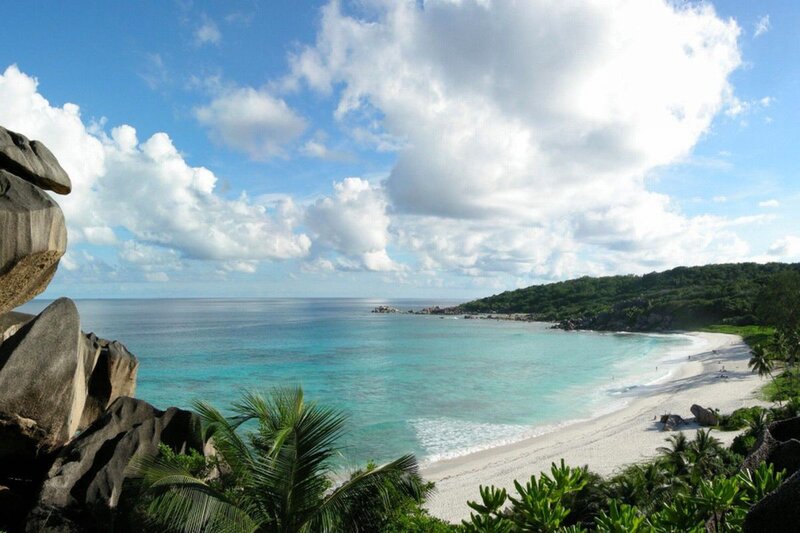 Tropical Beach Cove — Blue, Serene, Afternoon, Photograph, Palm Trees, Rocks