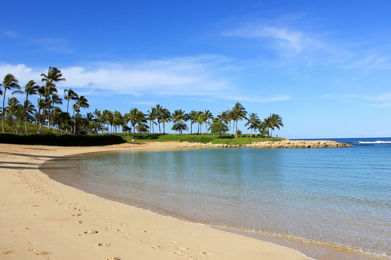 Tropical Beach Cove — Blue, Serene, Afternoon, Photograph, Palm Trees, Sand