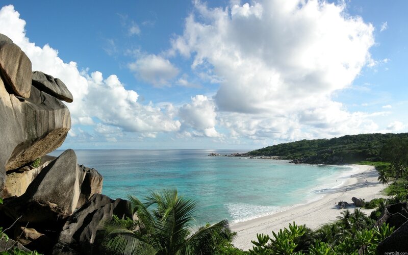 Tropical Beach Cove — Blue, Serene, Afternoon, Photograph, Rocks, Palm Trees