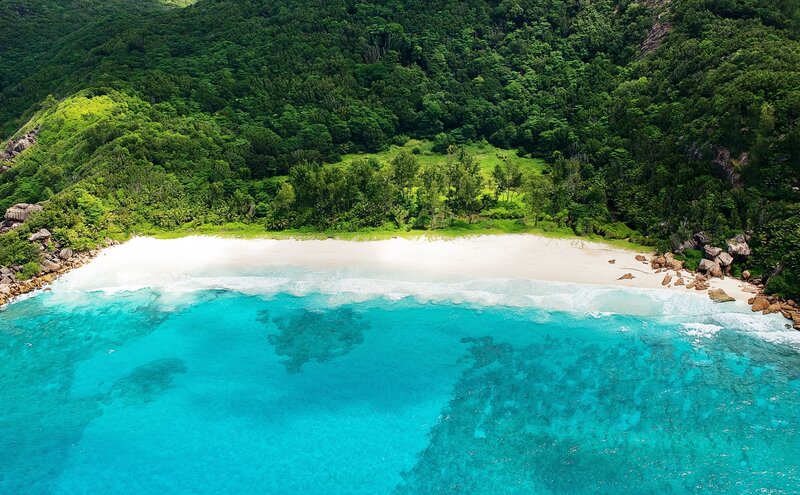 Tropical Beach Cove — Blue, Serene, Afternoon, Photograph, Sand, Ocean, Forest