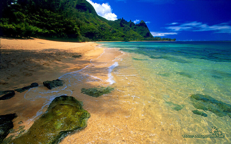 Tropical Beach Cove — Blue, Serene, Afternoon, Photograph, Sand