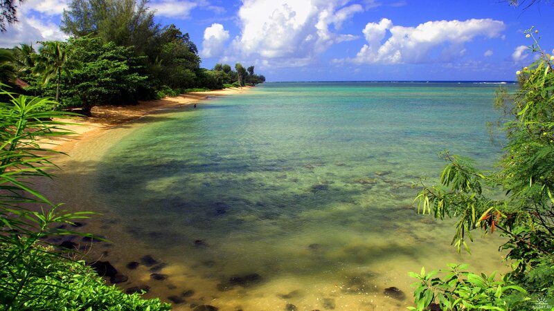 Tropical Beach Cove — Blue, Serene, Afternoon, Photograph, Sand, Trees, Ocean
