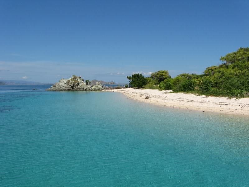 Tropical Beach Cove — Blue, Serene, Afternoon, Photograph, Sand, Trees