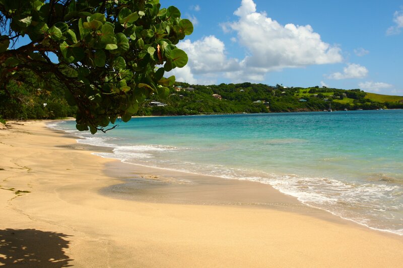 Tropical Beach Cove — Blue, Serene, Afternoon, Photograph, Tree, Sand, Ocean