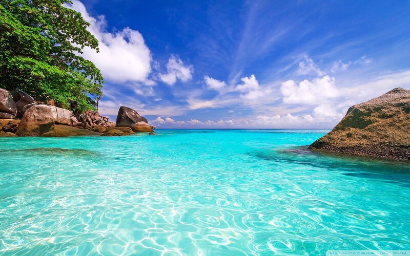 Tropical Beach Cove — Blue, Serene, Afternoon, Photograph, Trees, Rocks, Sky