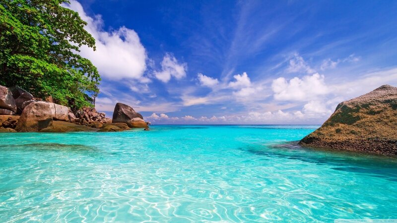 Tropical Beach Cove — Blue, Serene, Afternoon, Photograph, Trees, Rocks